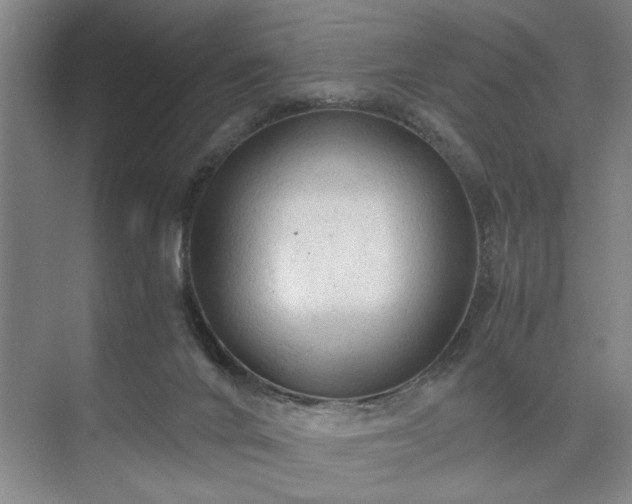 X0000073390024200608040913