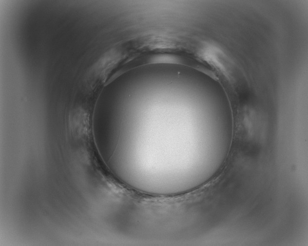 X0000073390025200608040913