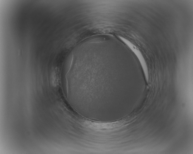 X0000073390030200608040913