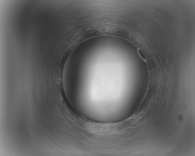 X0000073390040200608040912