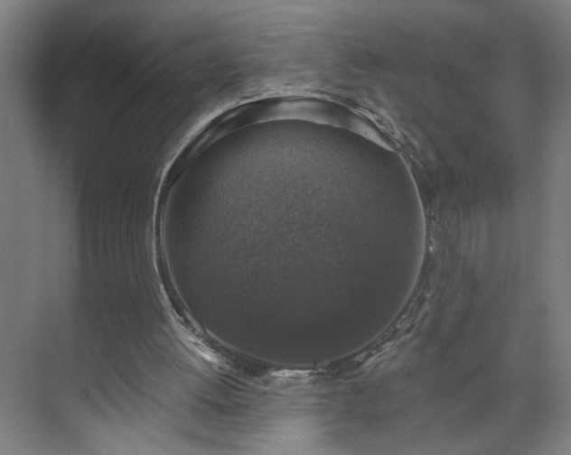 X0000073390052200608040911