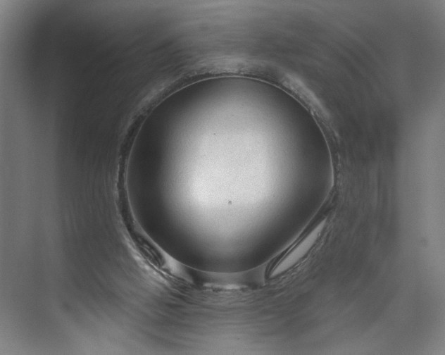 X0000073390058200608040912