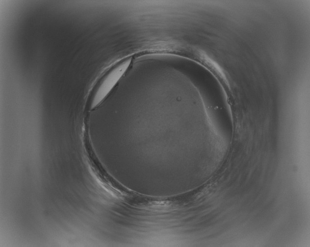 X0000073390059200608040912
