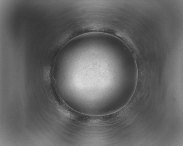 X0000073390066200608040912
