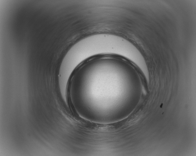 X0000073390072200608040912