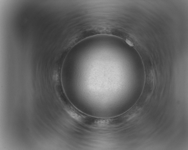 X0000073390084200608040912