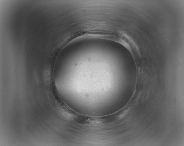X0000073390113200608040911