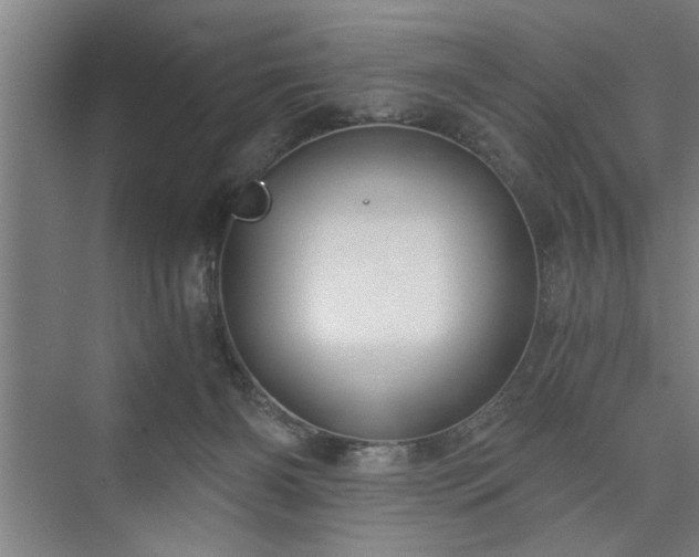 X0000073390126200608040911