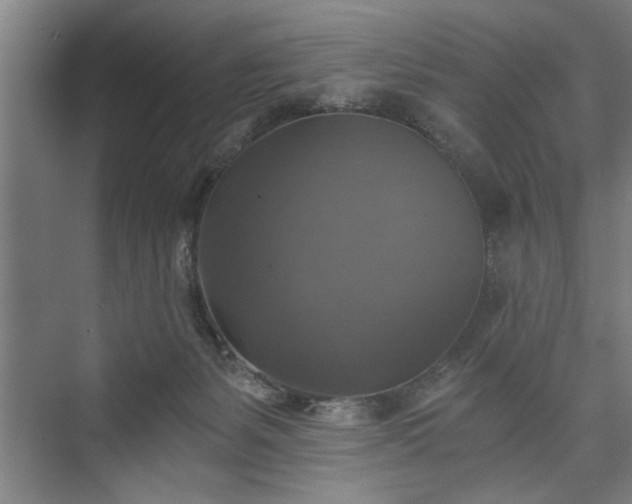 X0000073390127200608040911
