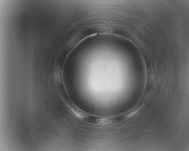 X0000073390141200608040911