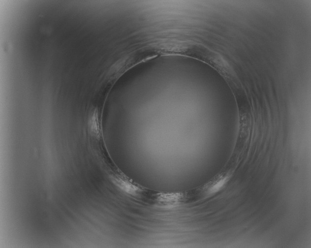 X0000073390143200608040911