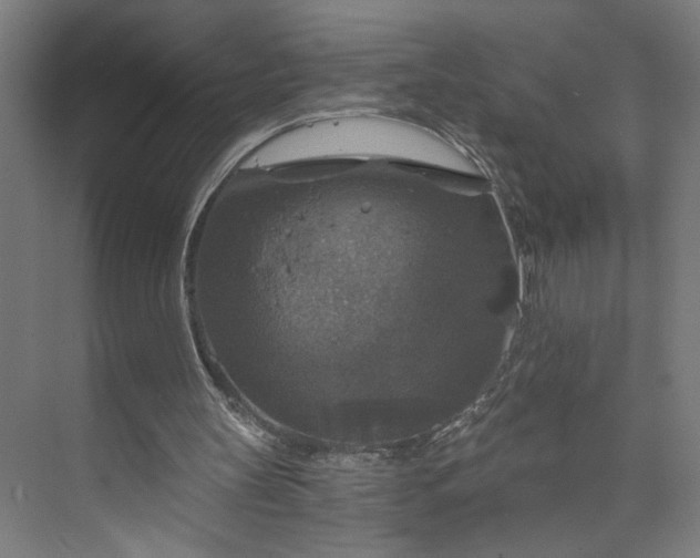 X0000073390147200608040910