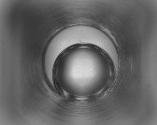 X0000073390154200608040910