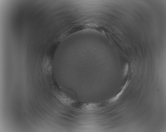 X0000073390186200608040911