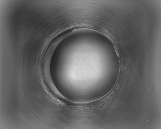 X0000073390193200608040910