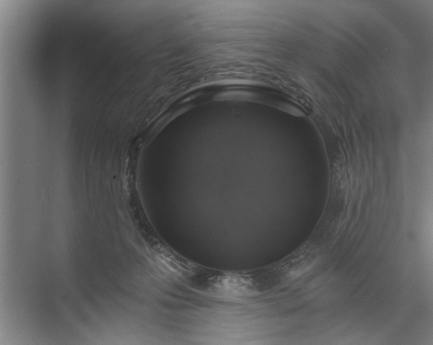 X0000073390223200608040909