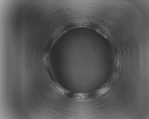 X0000073390239200608040909