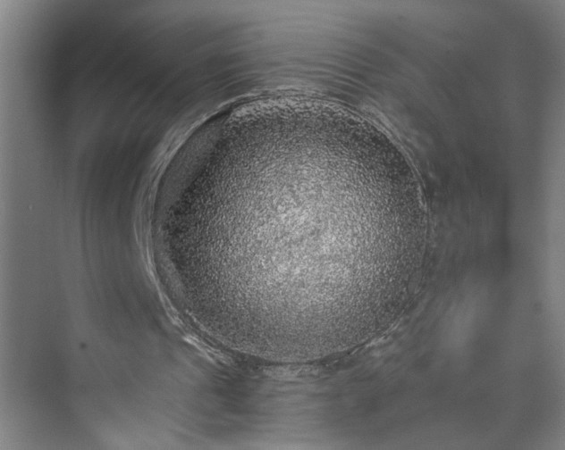 X0000073390241200608040908