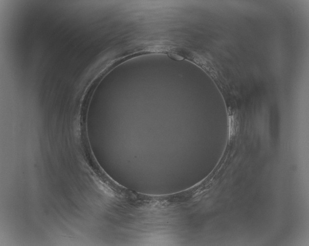 X0000073390243200608040908