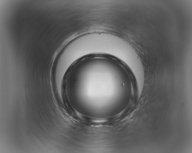 X0000073390244200608040908