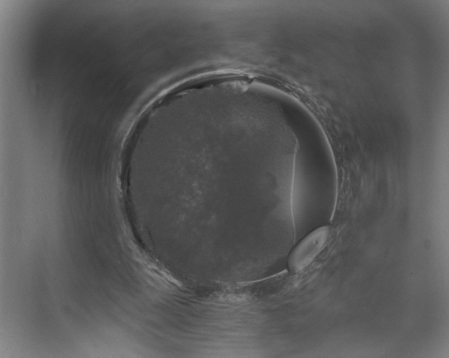 X0000073390247200608040908