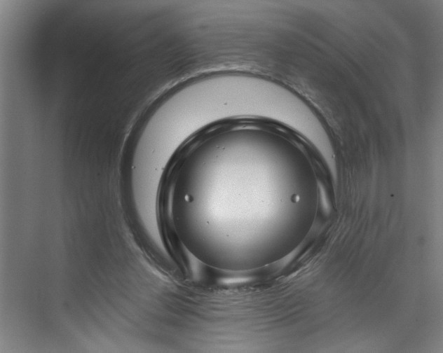 X0000073390252200608040908