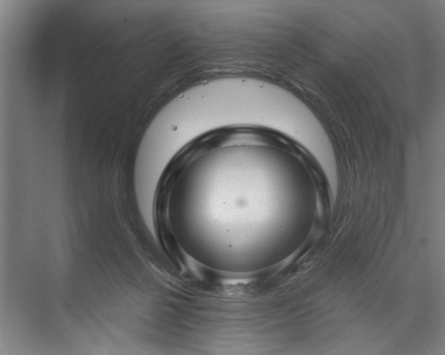 X0000073390264200608040909