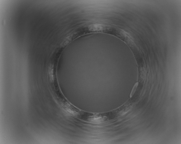 X0000073390267200608040909