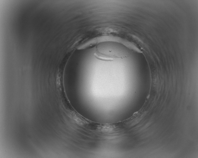 X0000073390282200608040909