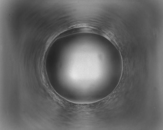 X0000073390289200608040908