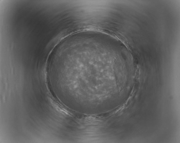 X0000073390290200608040908