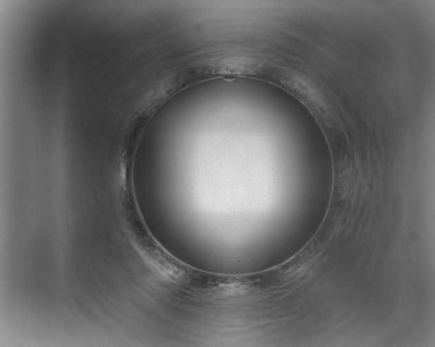 X0000073390310200608040908