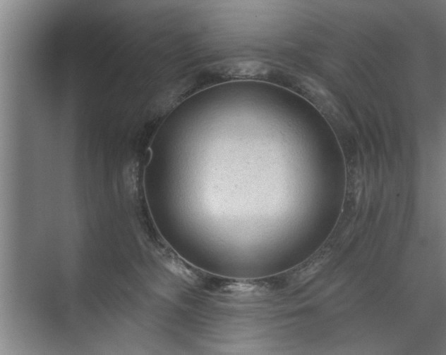 X0000073390326200608040908