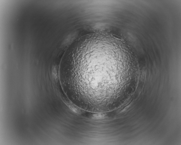 X0000073390335200608040907