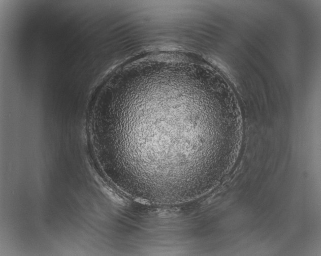 X0000073390345200608040907
