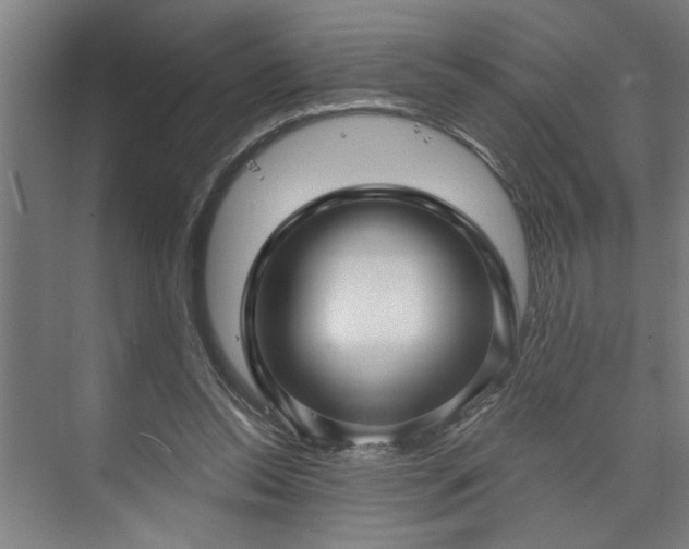 X0000073390350200608040907