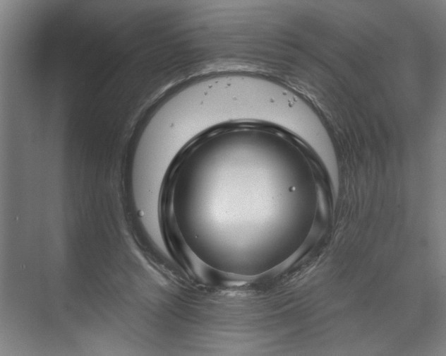 X0000073390352200608040907