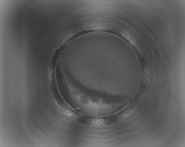 X0000073390355200608040907