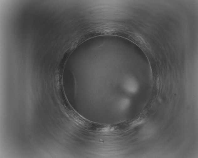X0000073390366200608040907