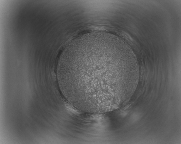 X0000073390377200608040907