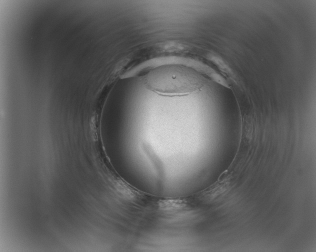 X0000073390378200608040907