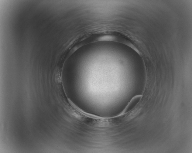 X0000073390384200608040907