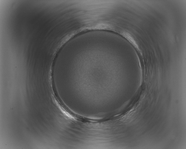 X0000073390389200608040907
