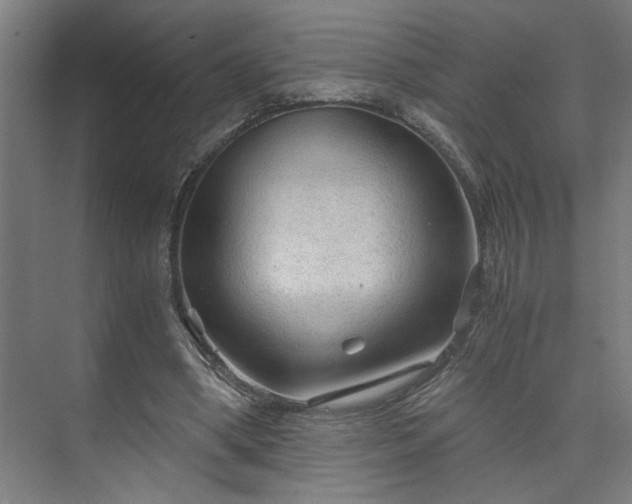 X0000073390394200608040906