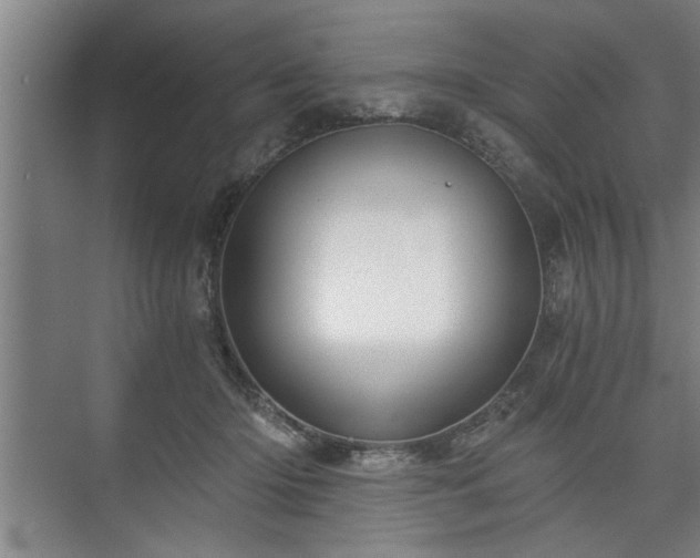 X0000073390414200608040906