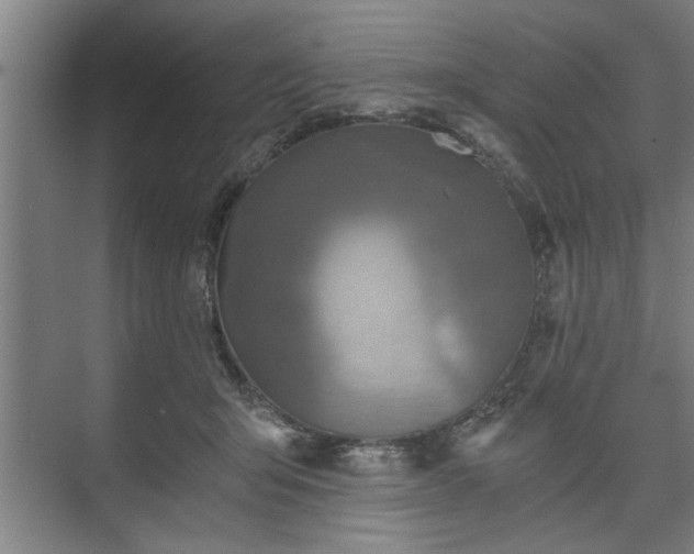 X0000073390415200608040906