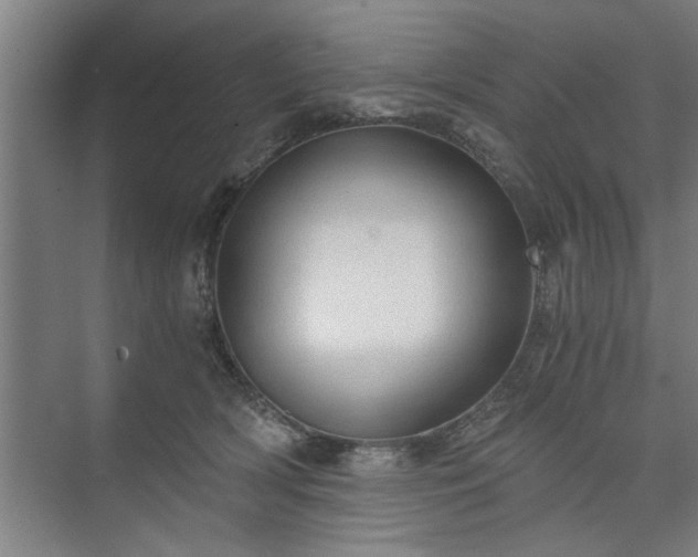 X0000073390418200608040906