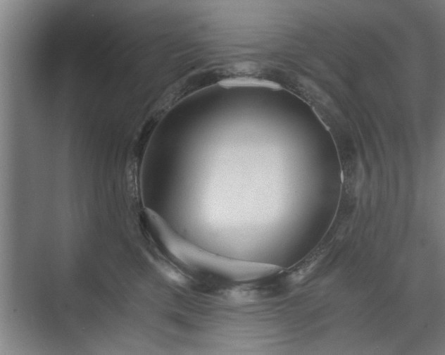 X0000073390425200608040906