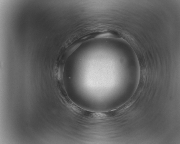 X0000073390429200608040906