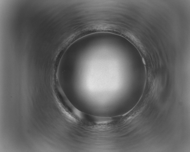 X0000073390445200608040905